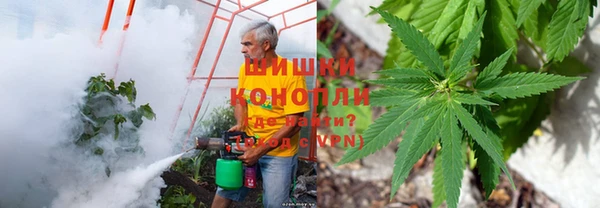 твердый Володарск