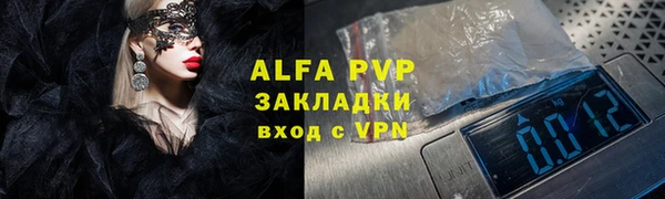 СК Волоколамск