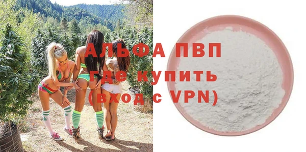 СК Волоколамск