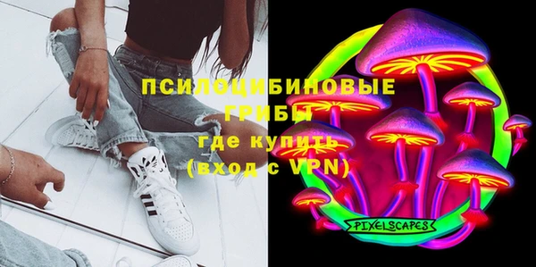 твердый Володарск