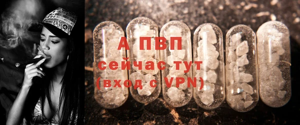 марки nbome Вяземский