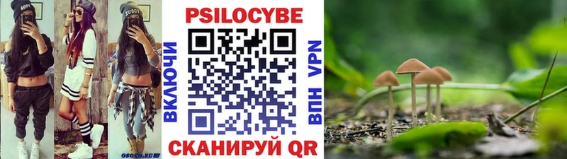 ОМГ ОМГ сайт  Орск  мориарти какой сайт  Псилоцибиновые грибы Cubensis 